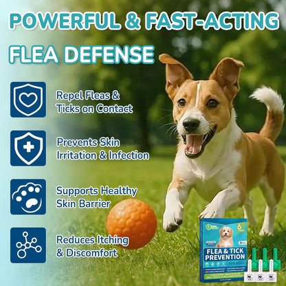 Flea and Tick Prevention for Small Dogs, 6-Month Supply Dog Flea and Tick Treatment Drops, Topical Fast-Acting Dog Flea Treatment for Small Dogs Up to 5 to 22 lbs