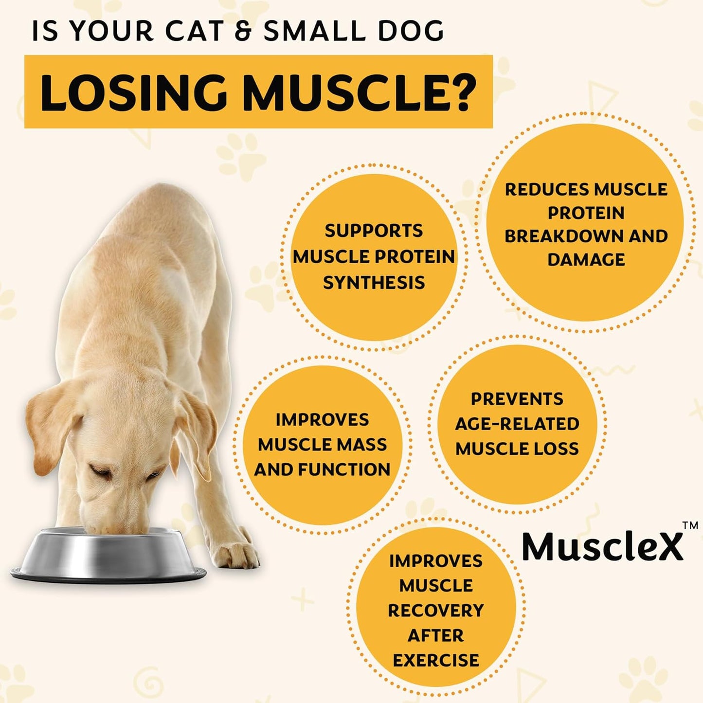 MuscleX™ Canine Muscle Formula Cats & Small Dogs with 300mg CaHMB & Vitamin D3 - Natural Muscl Building Formula-Helps Reduce Muscle Loss Due to Normal Aging & Improves Recovery from Injury(270 Caps)