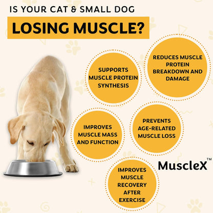 MuscleX™ Canine Muscle Formula Cats & Small Dogs with 300mg CaHMB & Vitamin D3 - Natural Muscl Building Formula-Helps Reduce Muscle Loss Due to Normal Aging & Improves Recovery from Injury(270 Caps)