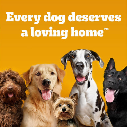 Pedigree Choice Cuts in Gravy Adult Soft Wet Dog Food Variety Pack, 3.5 oz. Pouches, 18 Count