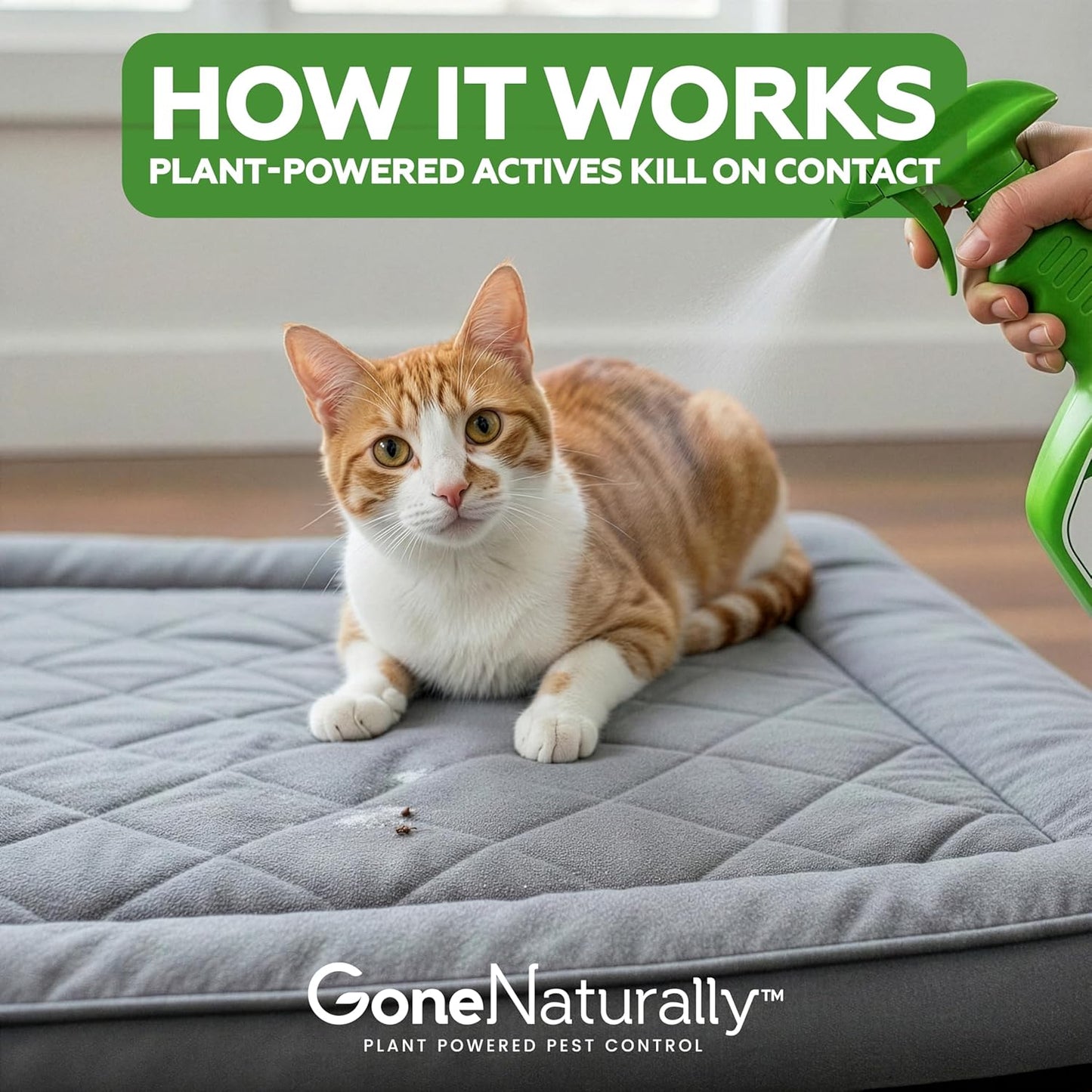 Plant-Based Spray for Cats & Home – Scentless, Non-Staining Formula for Indoor Use (16 oz)