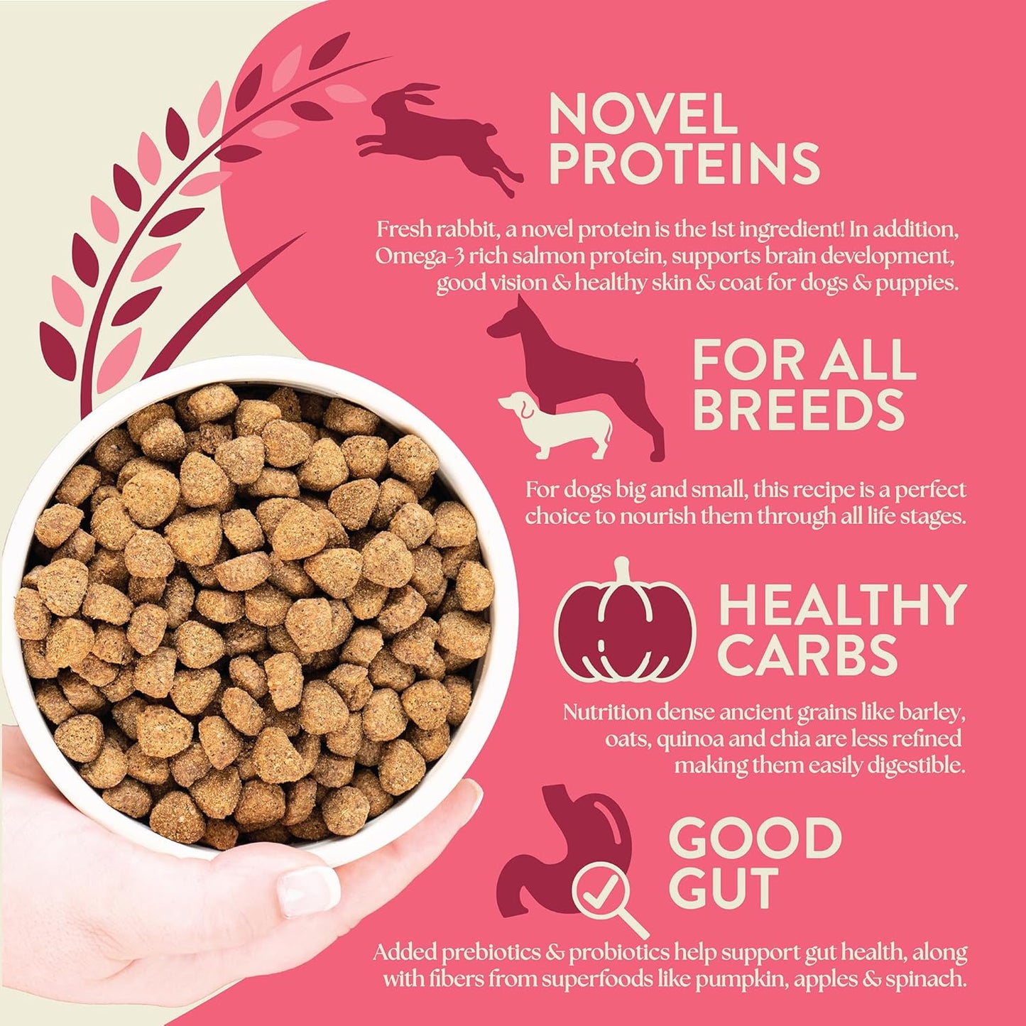 Earthborn Holistic Unrefined Roasted Rabbit 25 lb. Ancient Grains & Superfoods Dry Dog Food