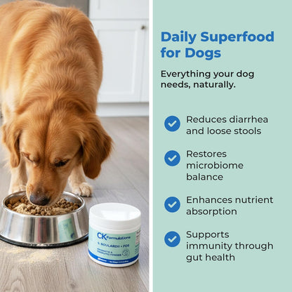 | S boulardii + FOS for Dogs and Cats | Probiotic and Prebiotic Powder | Support Gut Health, Diarrhea | 60g