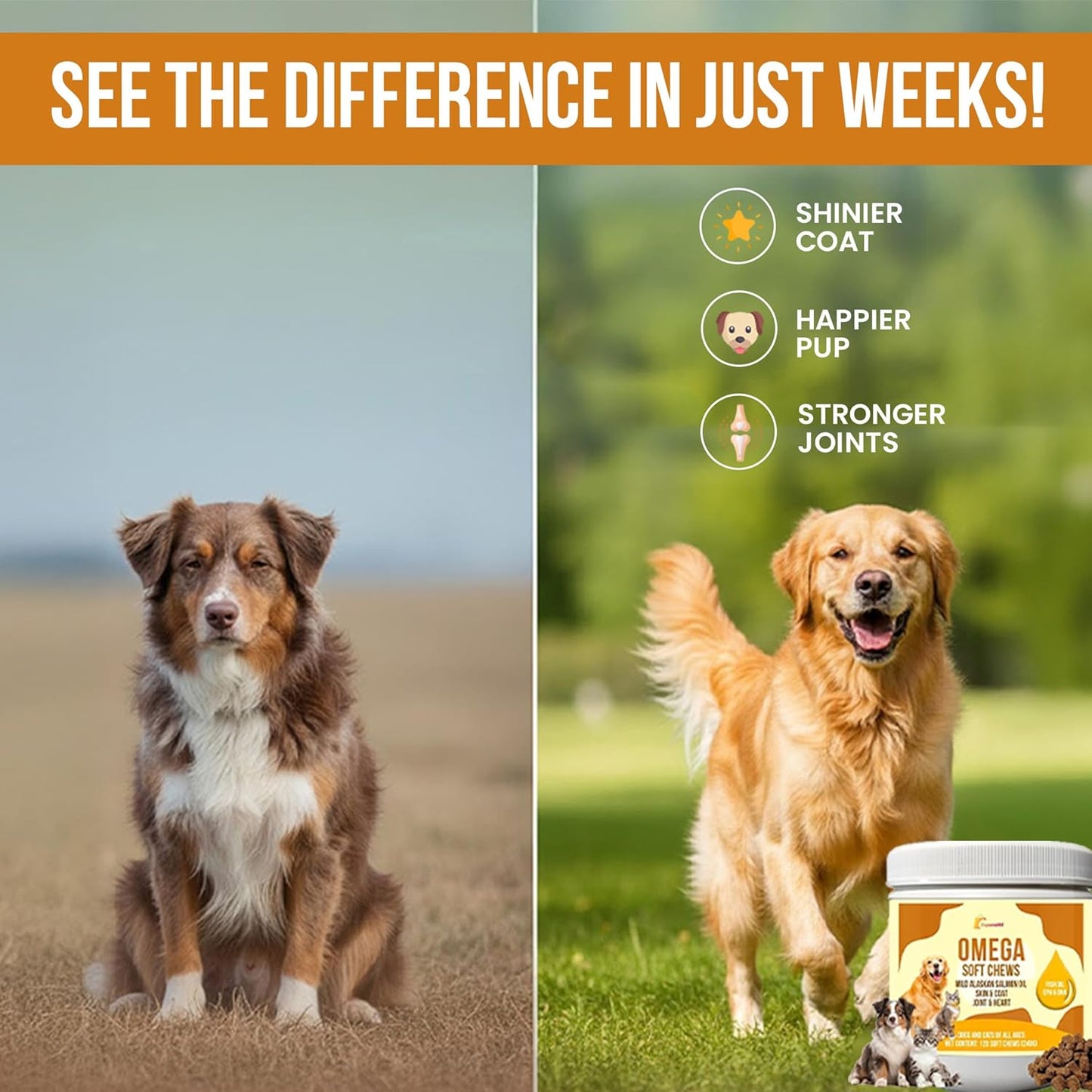 10-in-1 Multivitamin for Dogs – Glucosamine, Chondroitin, Probiotics & Omega 3 Fish Oil – Dog Supplement for Joints, Skin, Coat, Heart & Immune Support – Peanut Butter Flavor – 120 Soft Chews