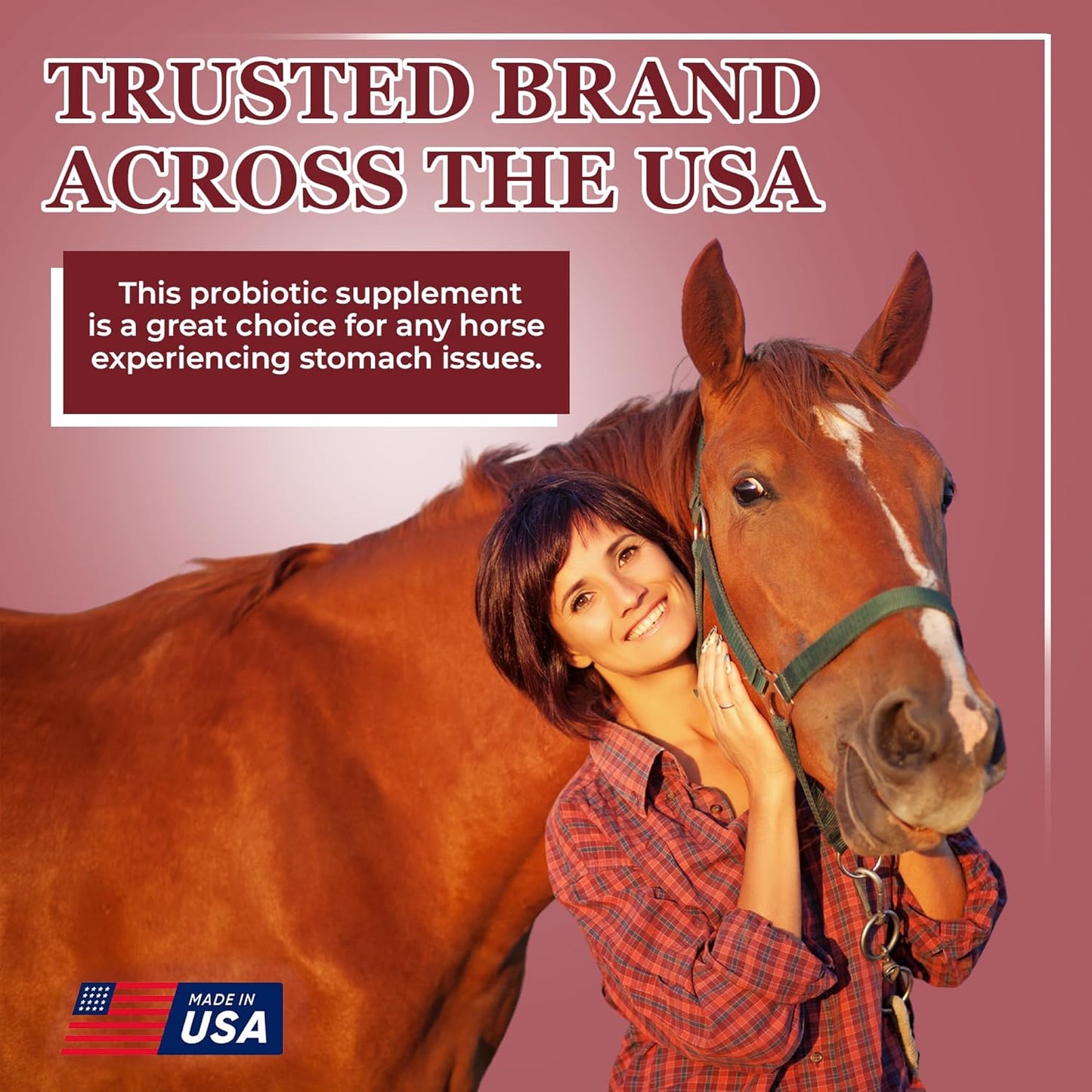 EQUERRY'S Better Horse Belly – Gut Support Supplement with Probiotics, Prebiotics & Digestive Enzymes | for Colic and Digestive Upset, 1.1LB