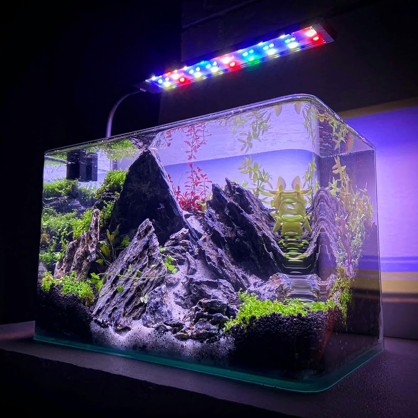 6-8 Inches Natural Seiryu Stone 6 PCS Aquarium Rocks for Aquascaping, Aquarium Landscaping, Terrariums, Fish Tank Decoration, Vivariums, Paludarium, Reptile and Amphibian Enclosures