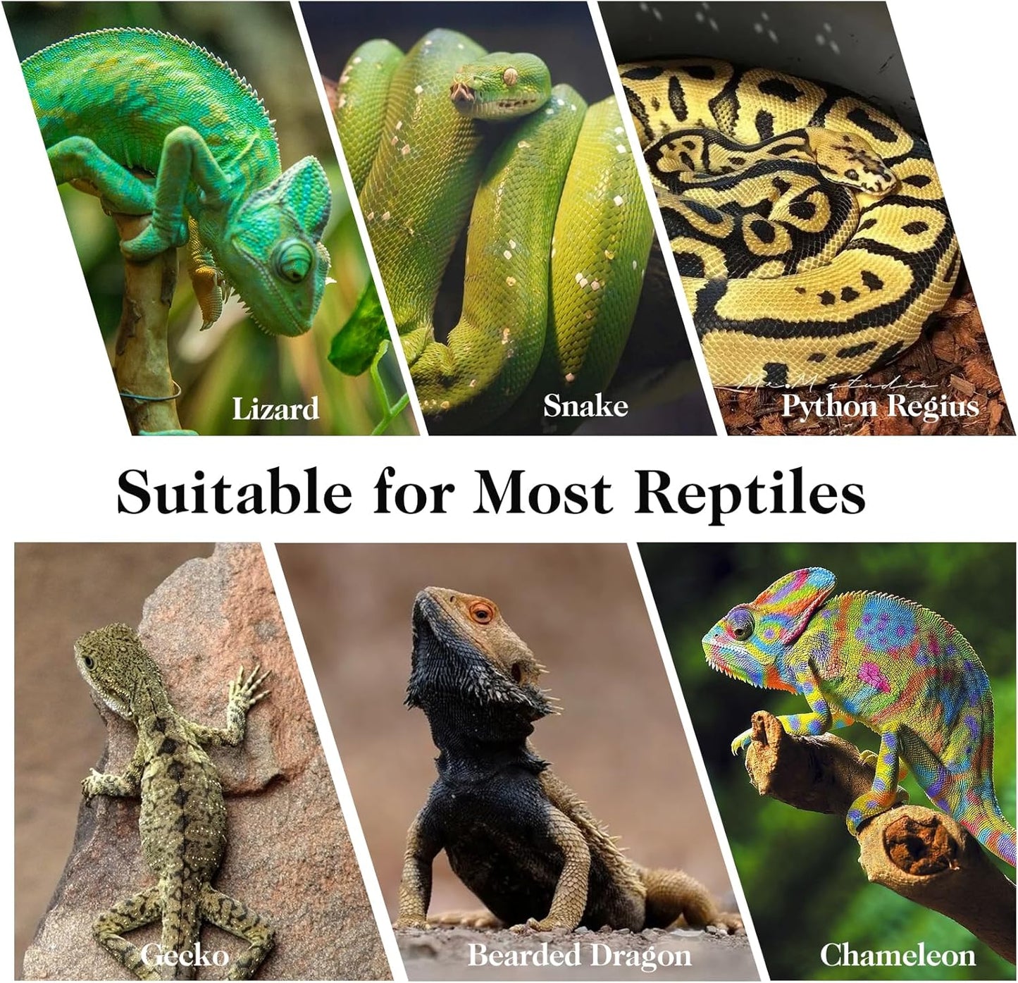 VCEPJH 2 Pack Reptile Wood Branches, Snake Climbing Branch Natural Bearded Dragon Log and Plants with Suction Cup Amphibian Habitat Decor 2 Pcs Artificial Leaves for Bearded Dragon, Lizard, Snake