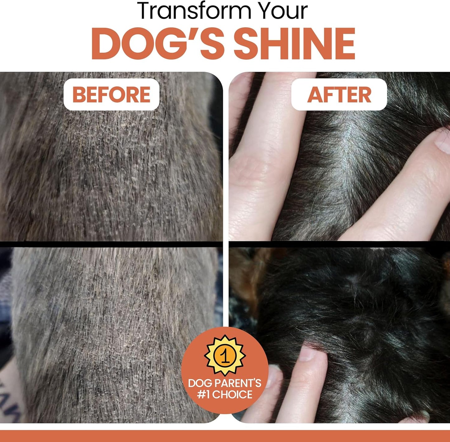 Salmon Oil for Dogs - Soft Chew Omega Treats for Skin and Coat - Fish Oil Blend of Essential Fatty Acids, Omega 3 and 6, Vitamins, Antioxidants and Minerals - Made in USA (180 Chews, Salmon)