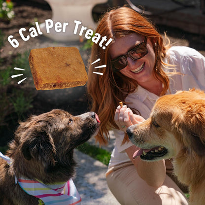 Wellness Puppy Treats, Natural, Training Treat, Grain Free, Soft Lamb & Salmon (8 Ounce Bag)