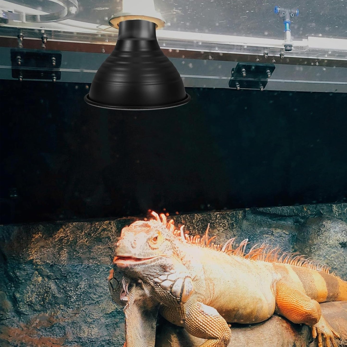 Reptile Lamp Shade Heat Lamp Protector 5.5-Inch Reflective Lampshade Black Exterior White Interior for Reptile Habitat Heating in Terrariums