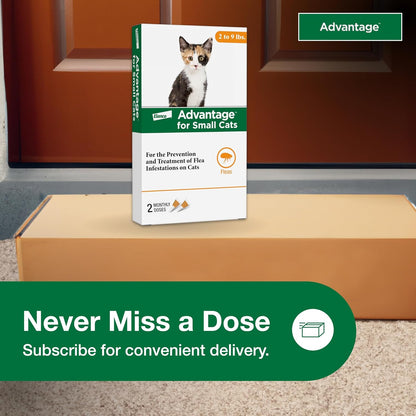 Advantage Topical Cat Flea Treatment and Prevention for Small Cats 2-9 lbs. | Apply Flea Drops Monthly | 6 Treatments (Pack of 3)