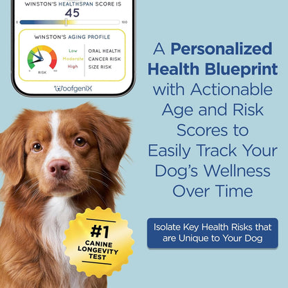 WoofSpan Dog Biological Age Test - DNA Methylation Science to Assess Healthspan, Aging Rate, and Risk for Common Conditions - Personalized Health Report & Preventative Care Tool for Dogs