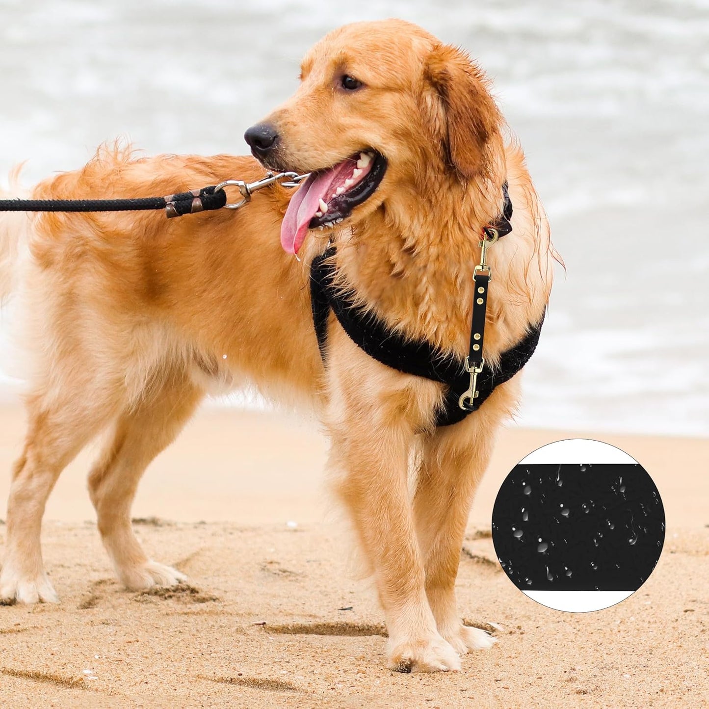 PetBonus Heavy Duty Tactical Dog Leash and Waterproof Dog Collar Safety Clip