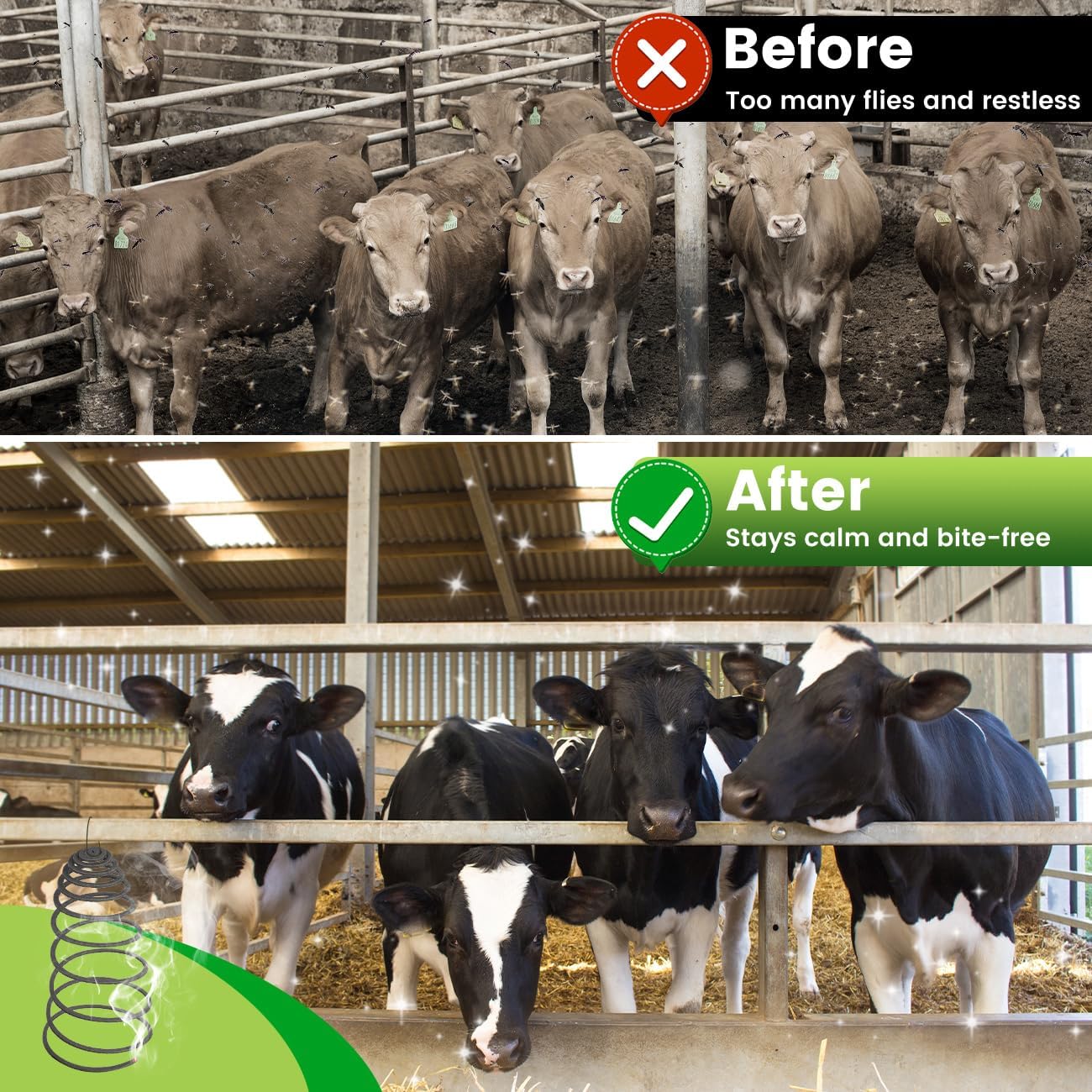 Livestock Mosquito & Fly Repellent Coils 10 Pack, Natural Citronella for Cattle, Horses, Goats, Chickens, 12-Hour Burn Time, Farm & Stable Outdoor Insect Protection, with 1 Holder & 2 Stands