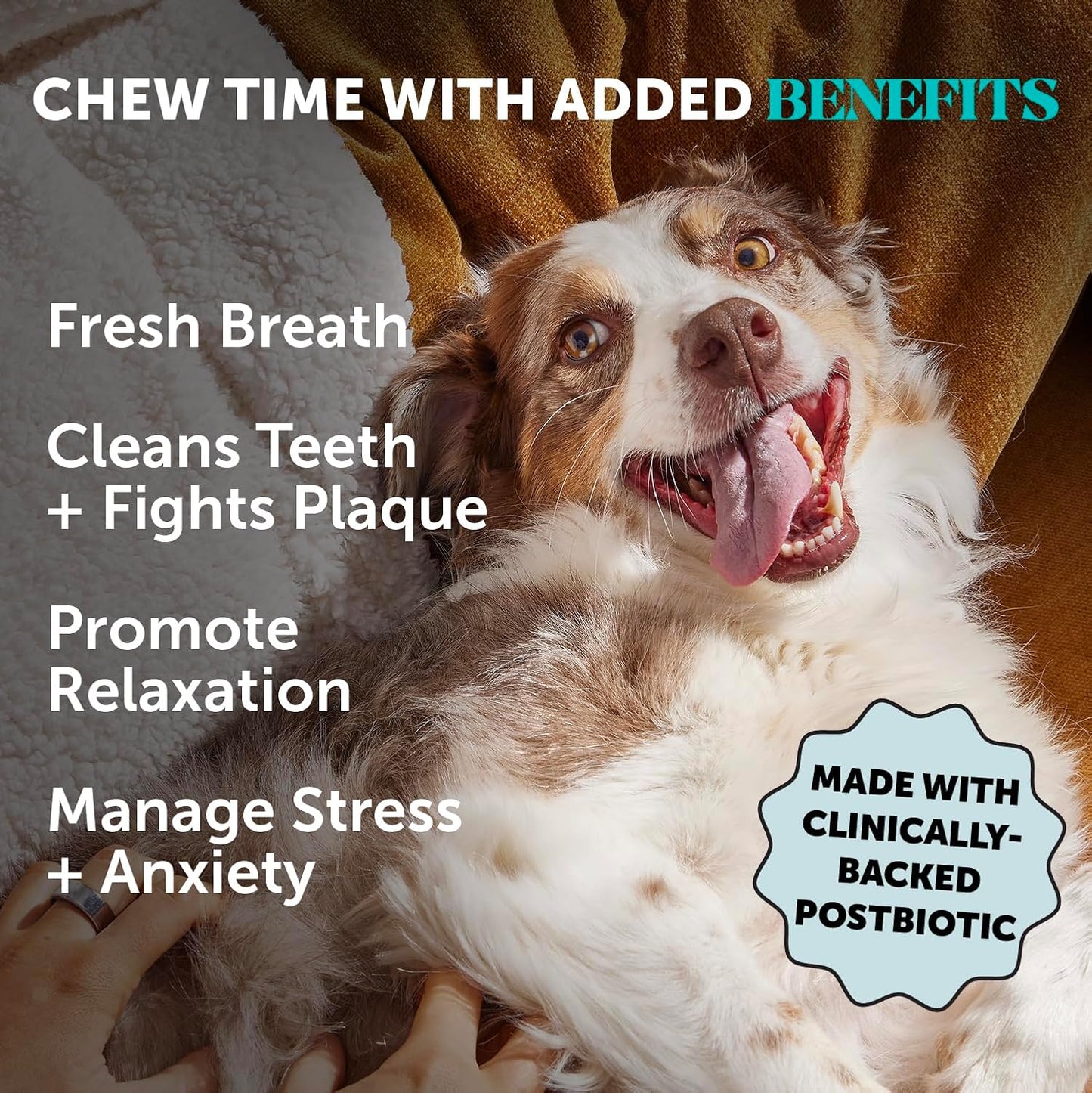 Hemp Calming Fresh Dental Sticks – Dog Dental Treats & Chews for Occasional Anxiousness and Fresh Breath – Hemp for Dogs to Promote Calm, Reduce Plaque + Tartar, and Support Relaxed Behavior – 30 Ct