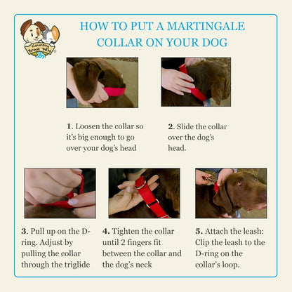 Country Brook Petz - Martingale Dog Collar - Heavy-Duty Training Collar with No Buckle - Service Dog Collar for All Pups - 10+ Cool Colors (Black, 1 Inch, Medium)