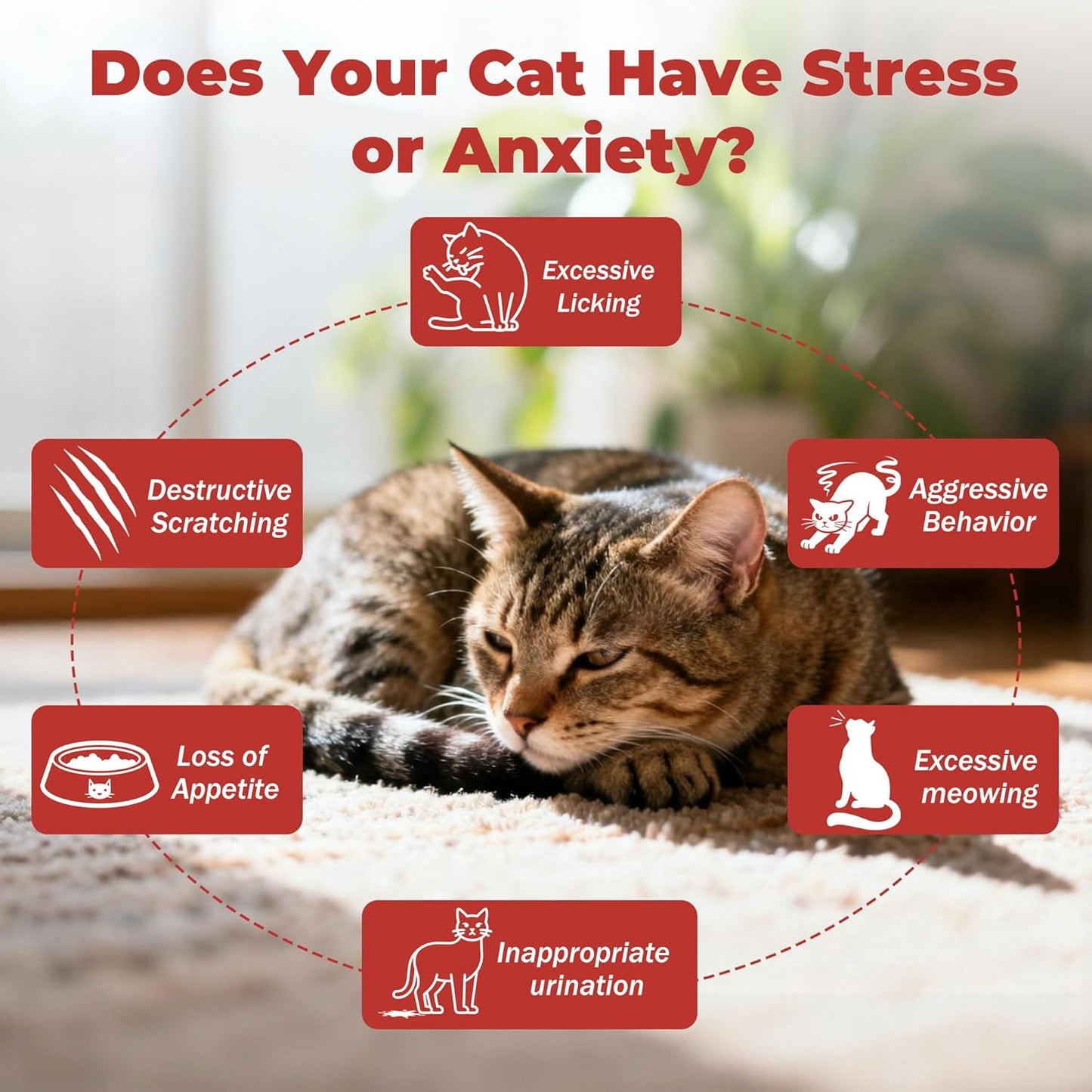 Cat Relief Treats – L-Theanine + L-Tryptophan | Lickable, Relieves Anxiety and Stress in Cats | Sleep and Relaxation Supplement | On-The-Go - 30 Tablets, Vet-Formulated, Made in The USA