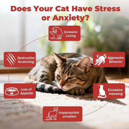 Cat Relief Treats – L-Theanine + L-Tryptophan | Lickable, Relieves Anxiety and Stress in Cats | Sleep and Relaxation Supplement | On-The-Go - 30 Tablets, Vet-Formulated, Made in The USA