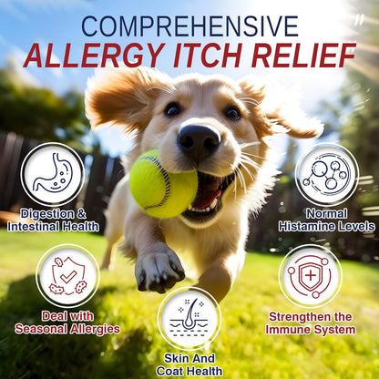 Dog Allergy and Itching Skin Seasonal Allergies Relief Bites Itchy Skin and Itchy Ears Anti Itch Licking Paws Treatment for Dogs