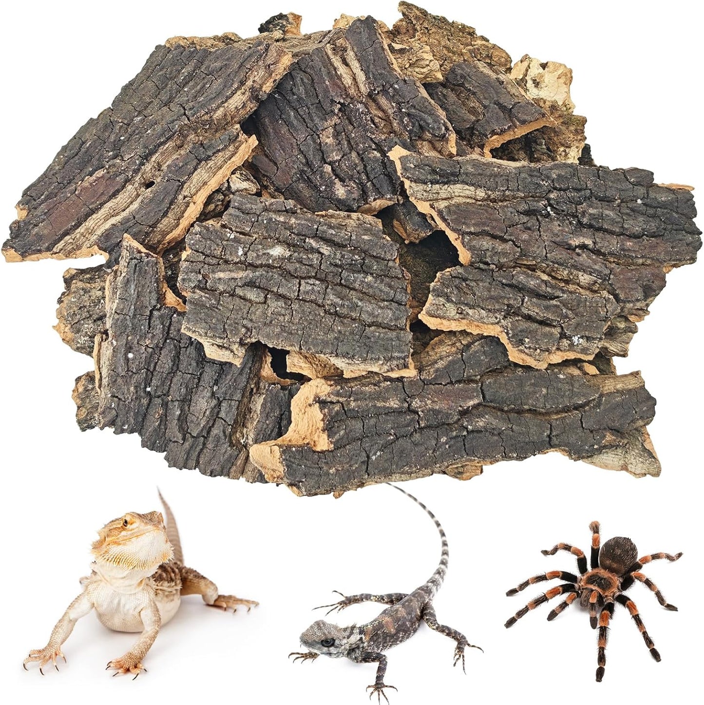 BNOSDM Reptile Cork Bark Substrate 32oz Lizard Bedding for Habitat Natural Flat Cork Wood Bulk Terrarium Reusable Bark Pieces for Chameleon, Ball Python, Crested Gecko, Spider, Tortoise, Tree Frog