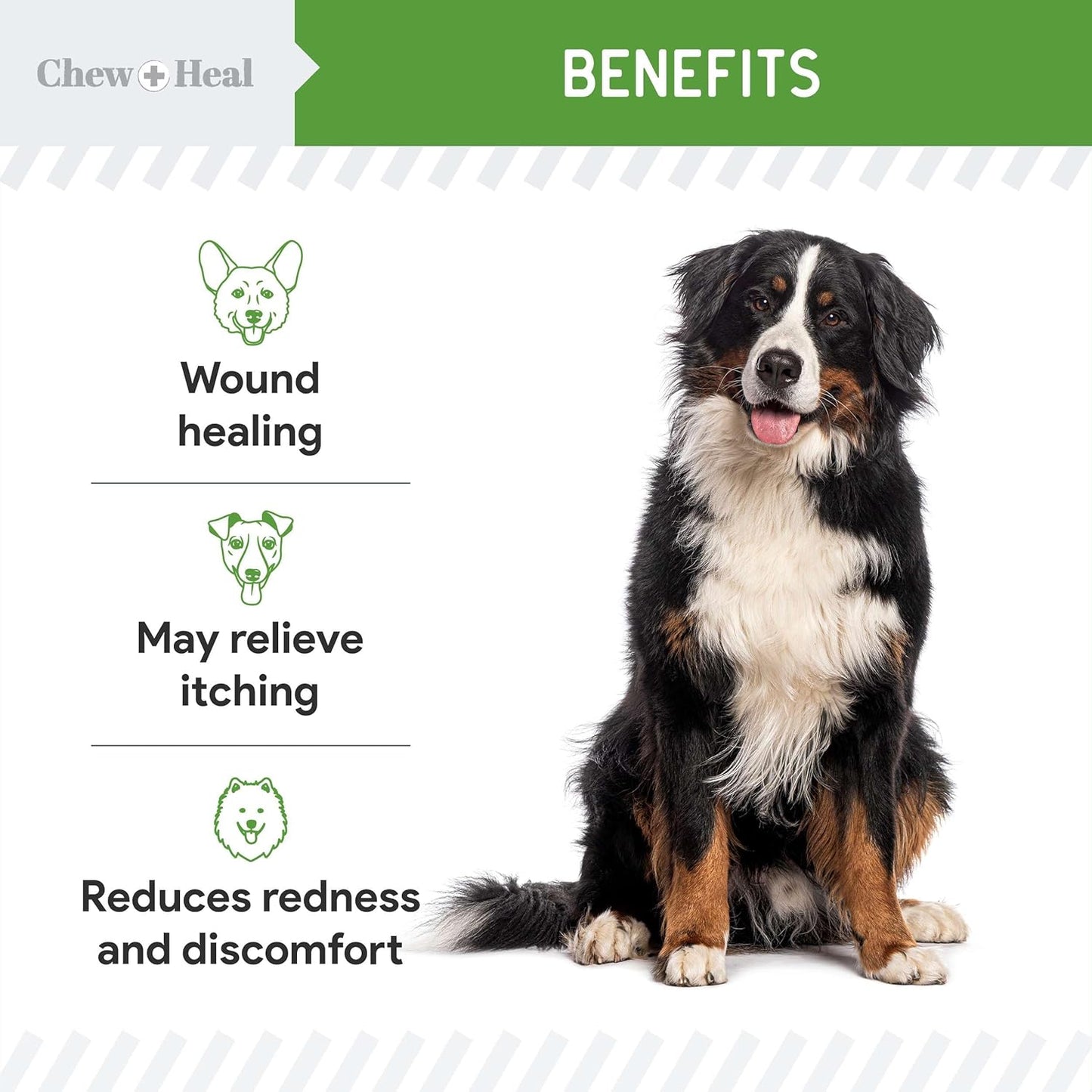 Soothe & Heal Fast - Natural Dog Wound Spray for Cuts, Hot Spots & Itchy Skin - Non-Toxic Hypochlorous Acid - Sting-Free Relief Made in USA, 4 oz