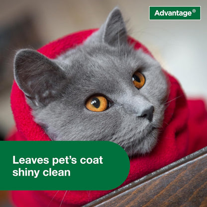 Advantage Cat Flea & Tick Shampoo for Kittens & Adult Cats | Kills Fleas & Ticks | 8 oz.