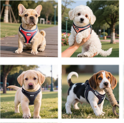 Dog Harness and Leash Set, No Pull Soft Mesh Pet Harness -in Puppy Pet Vest Harnesses for XS,Small,Medium Dogs and Cats Black-M