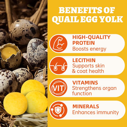 Wellix Freeze Dried Quail Eggs for Cats&Dog Treats - High-Protein Quail Egg Yolk Freeze Dried Cat Treats for Skin&Coat Health - Delicious Training Snacks for Pets 4.2oz