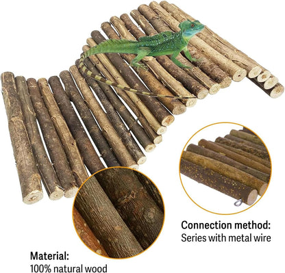 Hamiledyi Extra Large Tortoise Hide Reptile Hiding Cave Turtle Hut and Reptile Hideouts Natural Coconut Shells Hut Hermit Crab Climbing Toys for Spider Snake Chameleon