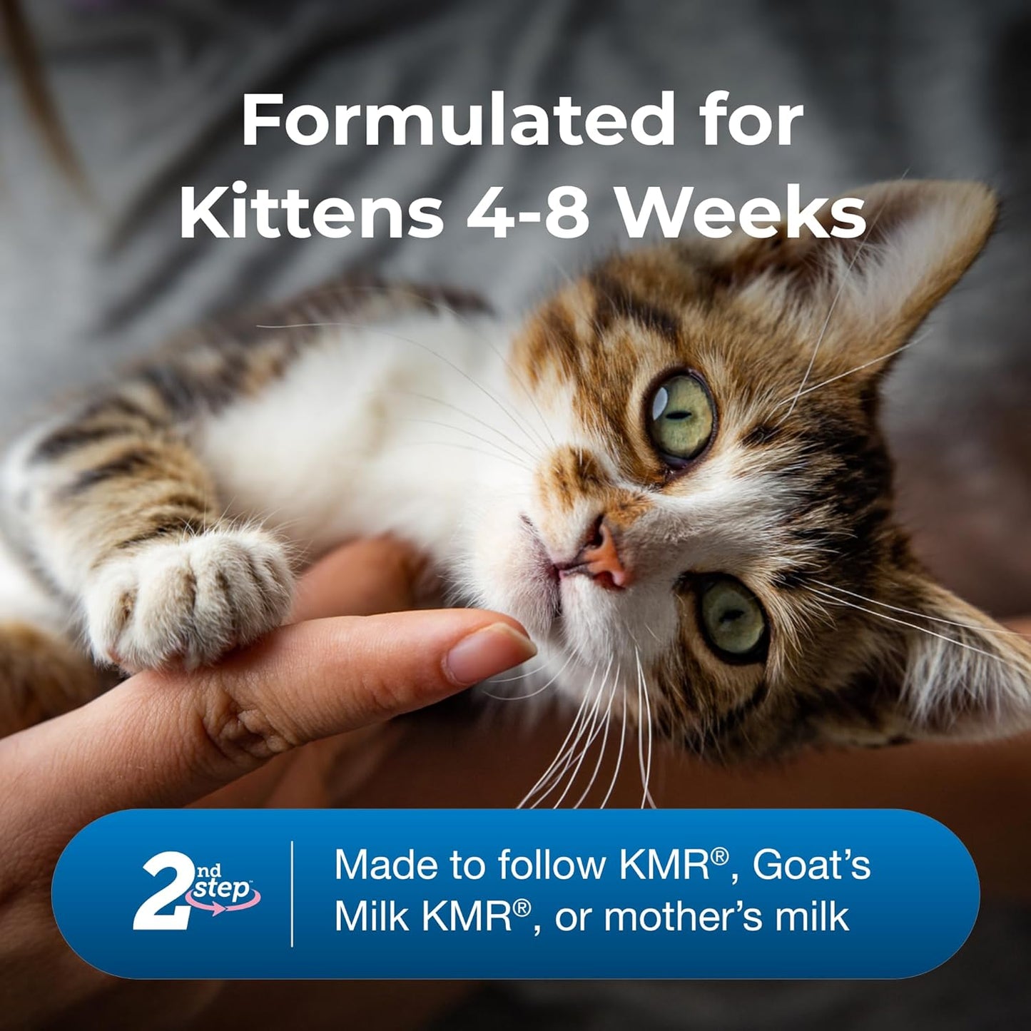 PetAg KMR Kitten Milk Replacer Powder (12 oz) + Pet-Ag KMR 2nd Step Kitten Weaning Food (14 oz)