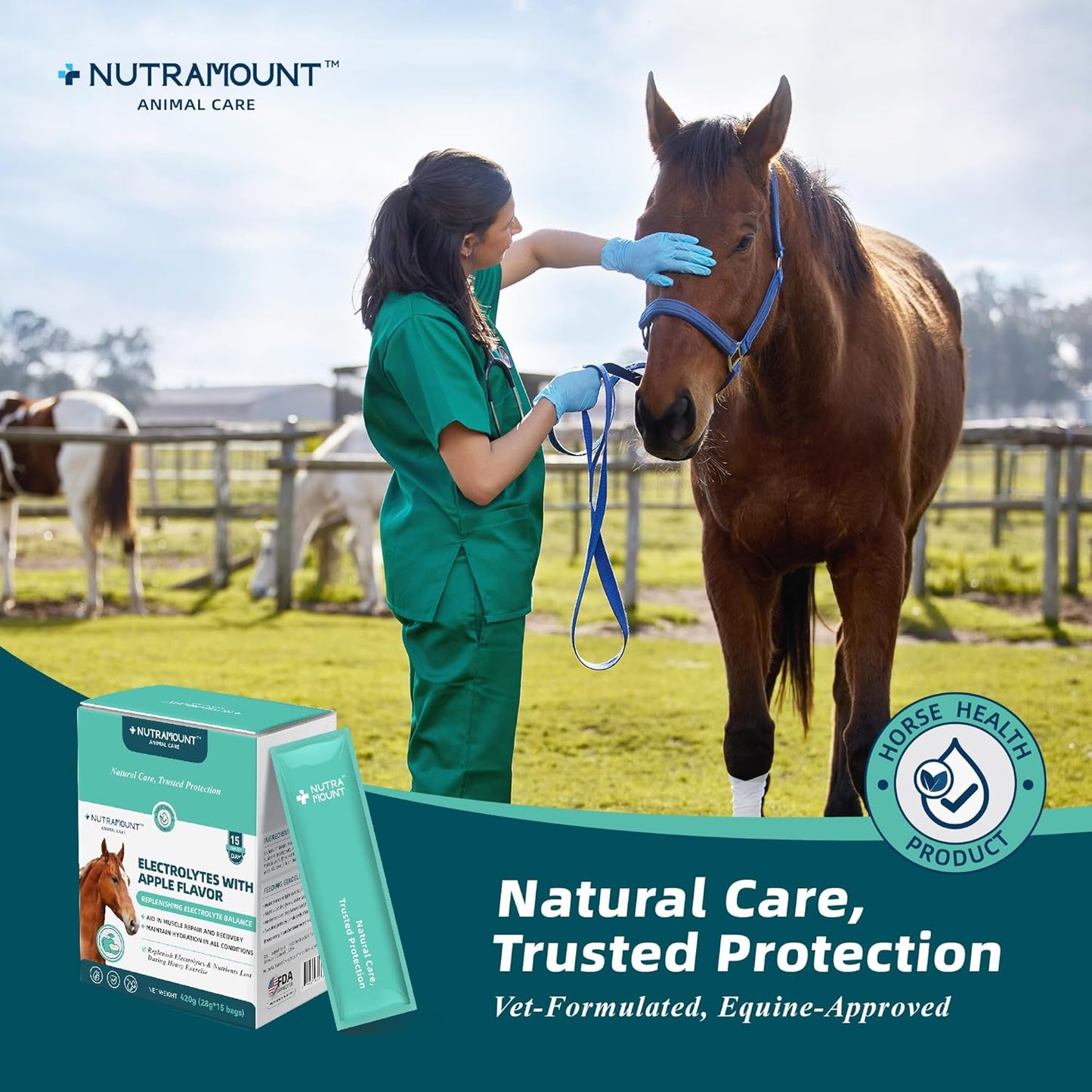 Equine Electrolytes Supplement with Apple Flavor, Replenish Lost Minerals & Support Hydration for Horses During Training, Hot Weather or Travel – 420g