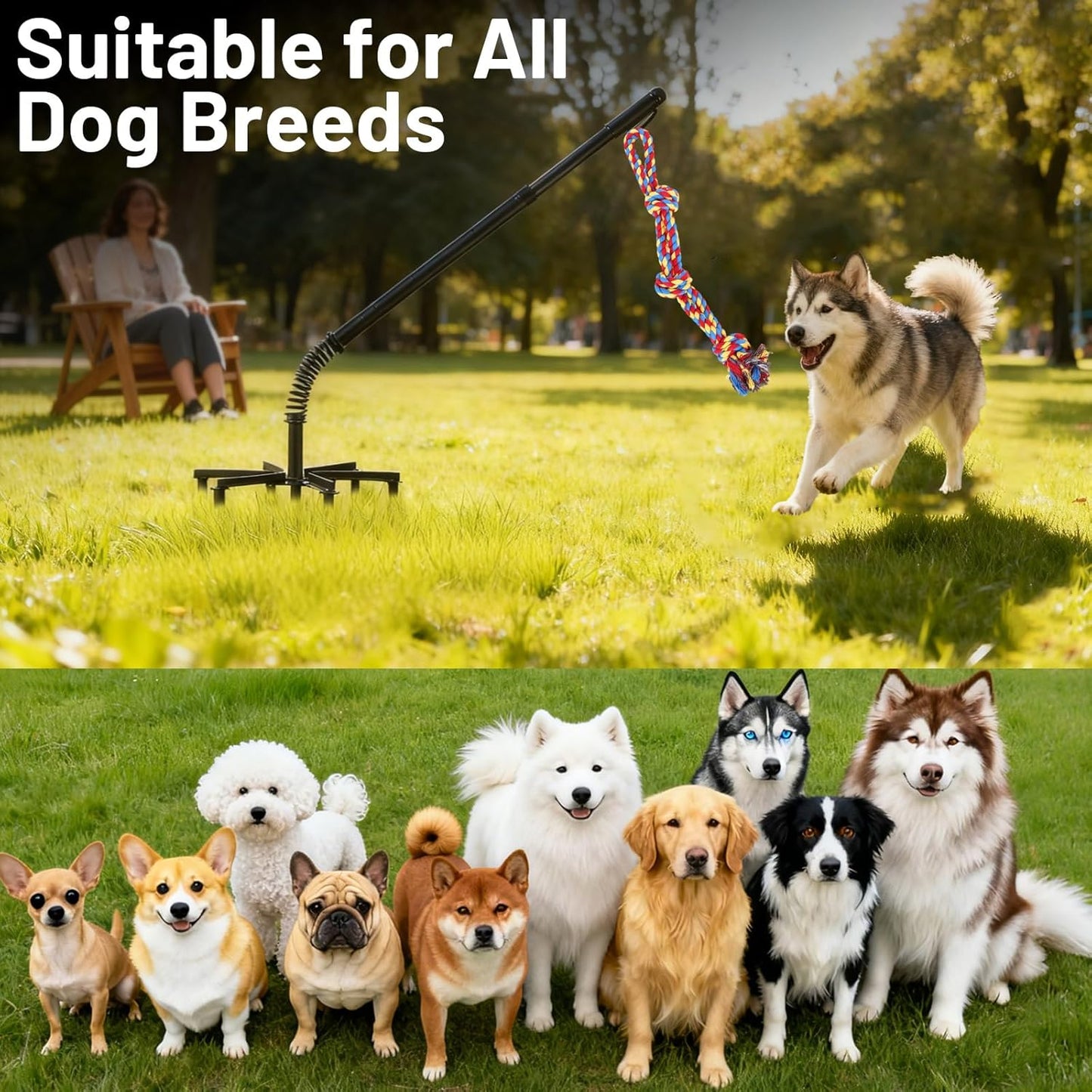 Tether Tug Outdoor Dog Toy,Tether Interactive Dog Tug Toy,Spring Pole For Dogs in Park,Yard,Lawn,2 Rope Toy and Bell Pull Chase and Solo Play,Tether Tug For Large Dogs,For Medium Small Dogs(Black)