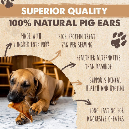 Mighty Paw Half Pig Ears for Dogs - All Natural, Single Ingredient Treats. Better Than Rawhide Pet Snacks for Small and Large/Medium Pets. Pigs Ear Dogs Chews (6lb)