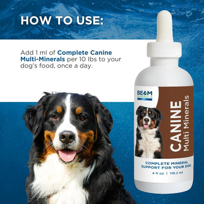 Beam Minerals Complete Canine Multi-Minerals | Full-Spectrum Minerals for Dogs | Contains Humic & Fulvic Acid | 4 fl Oz