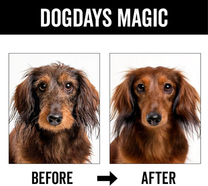 Pride and Groom DogDays No Rinse Quick Cleaning Shampoo | Waterless Foaming Dry Shampoo for Dogs & Cats | Odor-Eliminating, Hypoallergenic Pet Cleanser | 8 fl oz | Made in USA