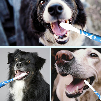 4Pcs Professional Pet Toothbrush, Dog & Cat Soft Bristle Double-Sided Brush Head Set, Pet Brushing Teeth to Clean Teeth to Reduce Tartar Buildup, Pet Dental Care Essentials