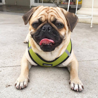 Best Pet Supplies Voyager Step-in Air All Weather Mesh Harness and Reflective Dog 5ft Leash Combo with Neoprene Handle, for Small, Medium and Large Breed Puppies - Set (Lime/Black Trim), Small