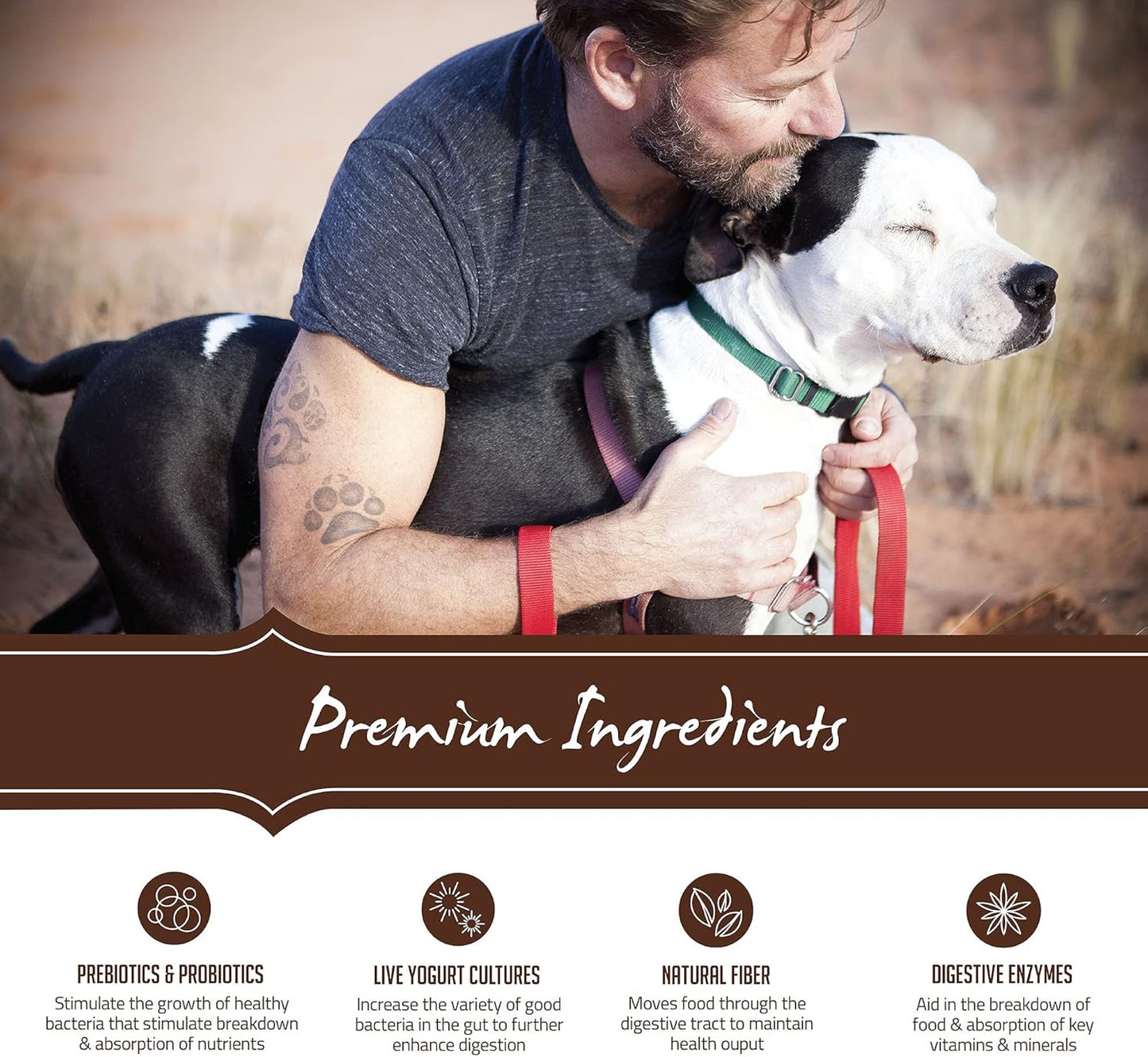 Holistic Select Natural Pet Food Holistic Select Natural Grain Free Dry Dog Food, Senior Chicken Meal & Rice Recipe, 24-Pound Bag