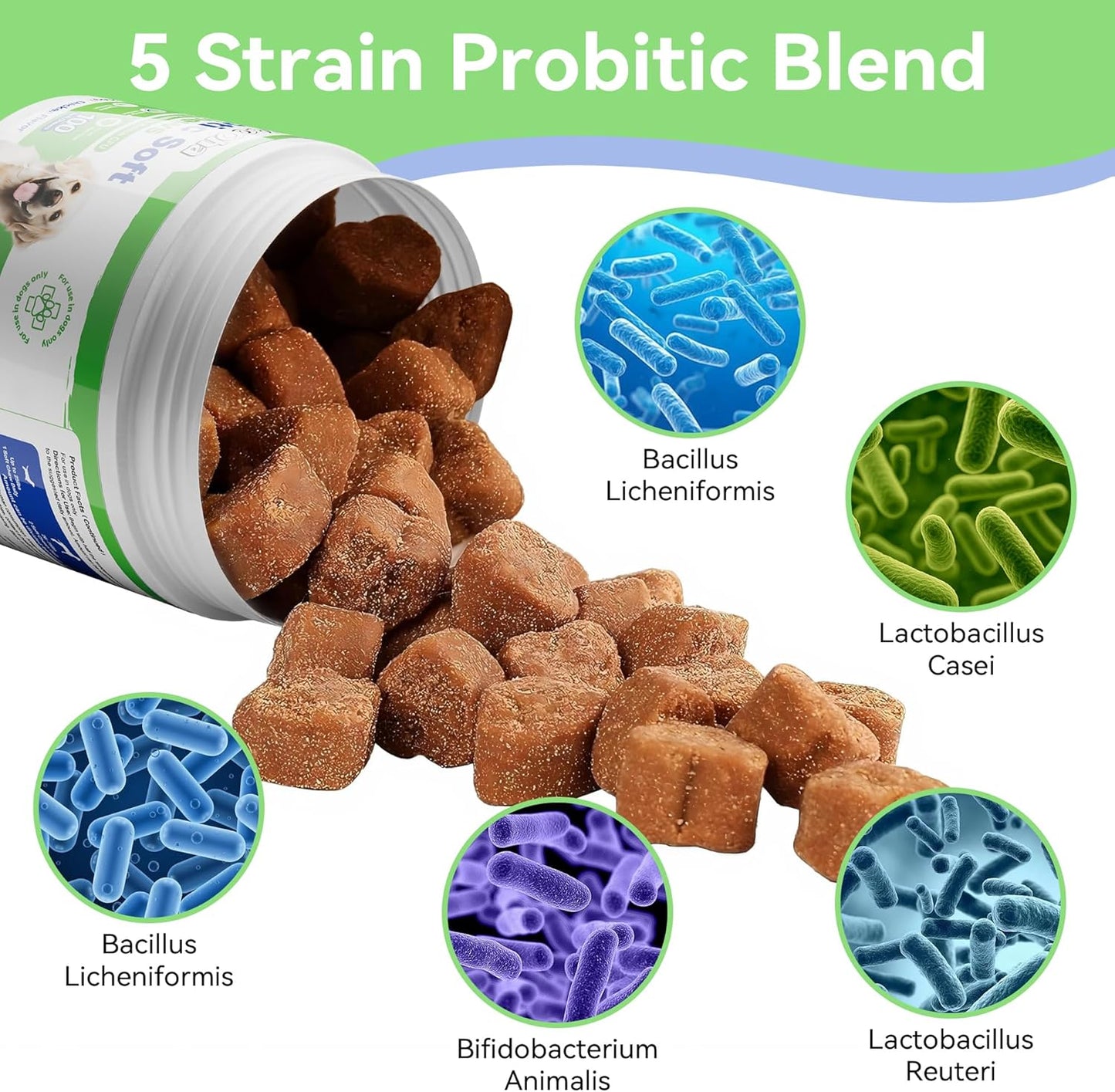 Probiotics for Dogs, Dog Probiotics for Gut Health, Digestive Support, Itchy Skin, Gas & Diarrhea Relief, Dog Probiotic with 6 Billion CFU Prebiotics & Digestive Enzymes, 100 Chews, Chicken Flavor