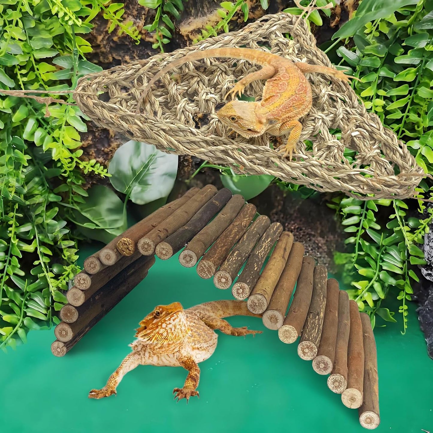 BNOSDM Bearded Dragan Tank Accessaries Reptile Bridge Hammock Flexible Wood Hideout 3PCS Reptile Habitat Accessory Set for Lizard Turtle Hermit Crabs Ball Python Gecko