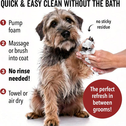Pride and Groom DogDays No Rinse Quick Cleaning Shampoo | Waterless Foaming Dry Shampoo for Dogs & Cats | Odor-Eliminating, Hypoallergenic Pet Cleanser | 8 fl oz | Made in USA