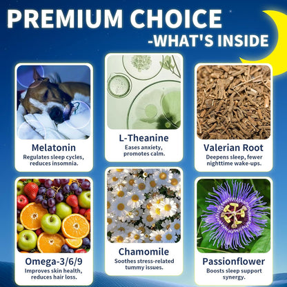 Dog Probiotic Chews + Melatonin Drops Bundle – Digestive & Sleep Support for Dogs | Promotes Gut Health, Calmness & Restful Nights