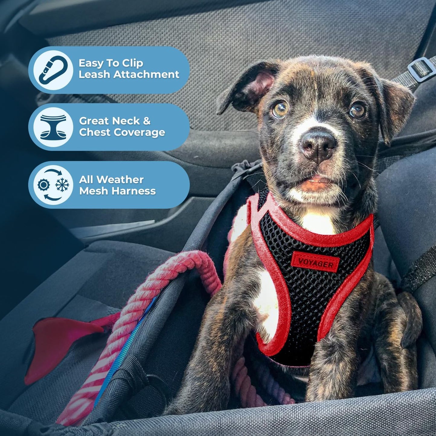 Best Pet Supplies Voyager Step-in Air All Weather Mesh Harness and Reflective Dog 5ft Leash Combo with Neoprene Handle, for Small, Medium and Large Breed Puppies - Set (Red Trim), X-Small