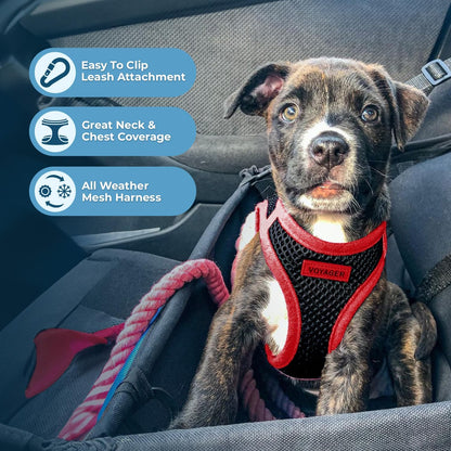 Best Pet Supplies Voyager Step-in Air All Weather Mesh Harness and Reflective Dog 5ft Leash Combo with Neoprene Handle, for Small, Medium and Large Breed Puppies - Set (Red Trim), X-Small
