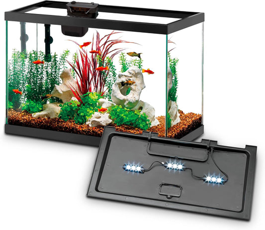 Aqueon Aquarium Starter Kit with Smart Clean Filtration and LED Lighting, Freshwater and Saltwater Fish, Perfect for Tetras, Guppies, Platies, 10-Gallon