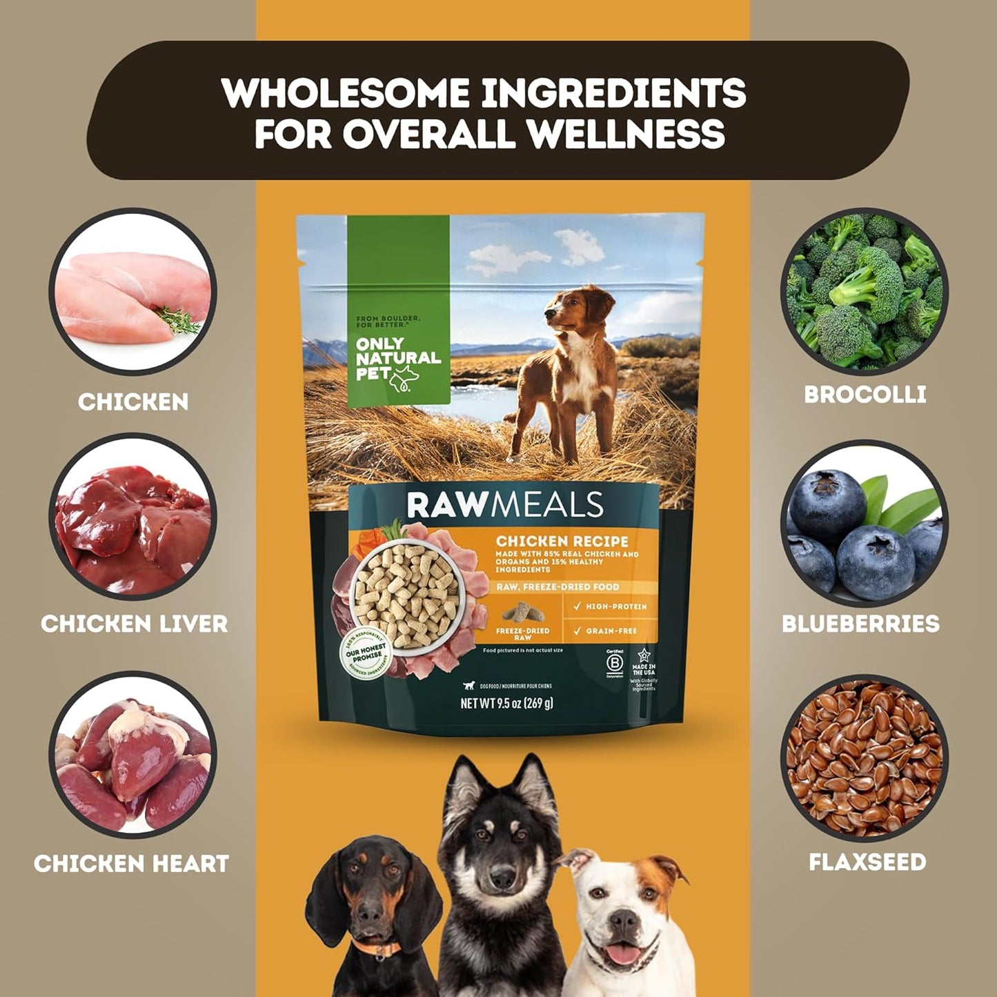 Only Natural Pet RawMeals Chicken Recipe Freeze-Dried Dog Food - High-Protein, Grain-Free, with Organ Meat, Fruits & Veggies - Complete Meal, Topper, or Treat for All Breeds & Picky Eaters - 9.5 oz