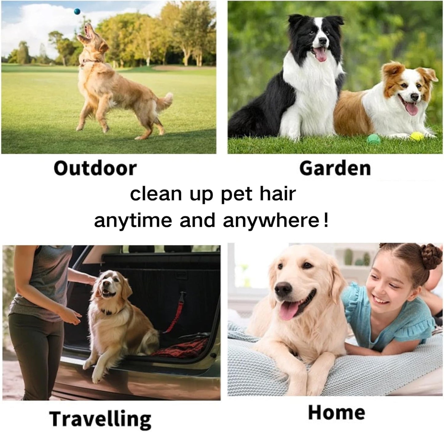 Disposable pet Cleaning Gloves Wet Wipes, Suitable for Daily Cleaning and Travel use. Two Packs of unscented Glove Wet Wipes (Green Packaging, 12 Pieces Each) + 1 Pack of Wet Wipes (as a Gift)