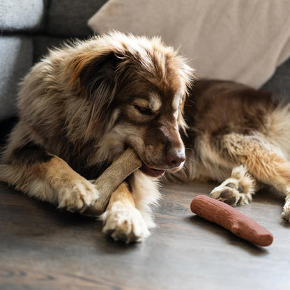 Outward Hound Dogwood Durable Dog Chew Toys, Real Wood & Mesquite, 2-Pack, Medium