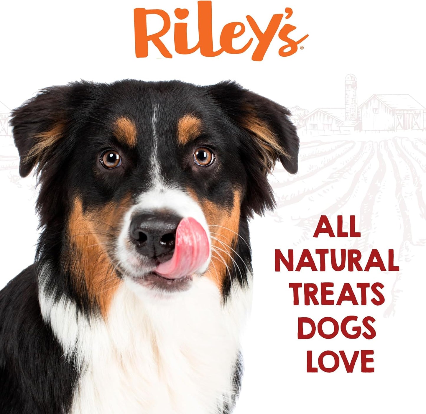 Riley's 12 Inch Beef Collagen Sticks for Dogs, Collagen Chews for Dogs, Bully Stick & Rawhide Alternative, Long Lasting, No Raw Hide Chews, Single Ingredient Dog Treat - 5 ct