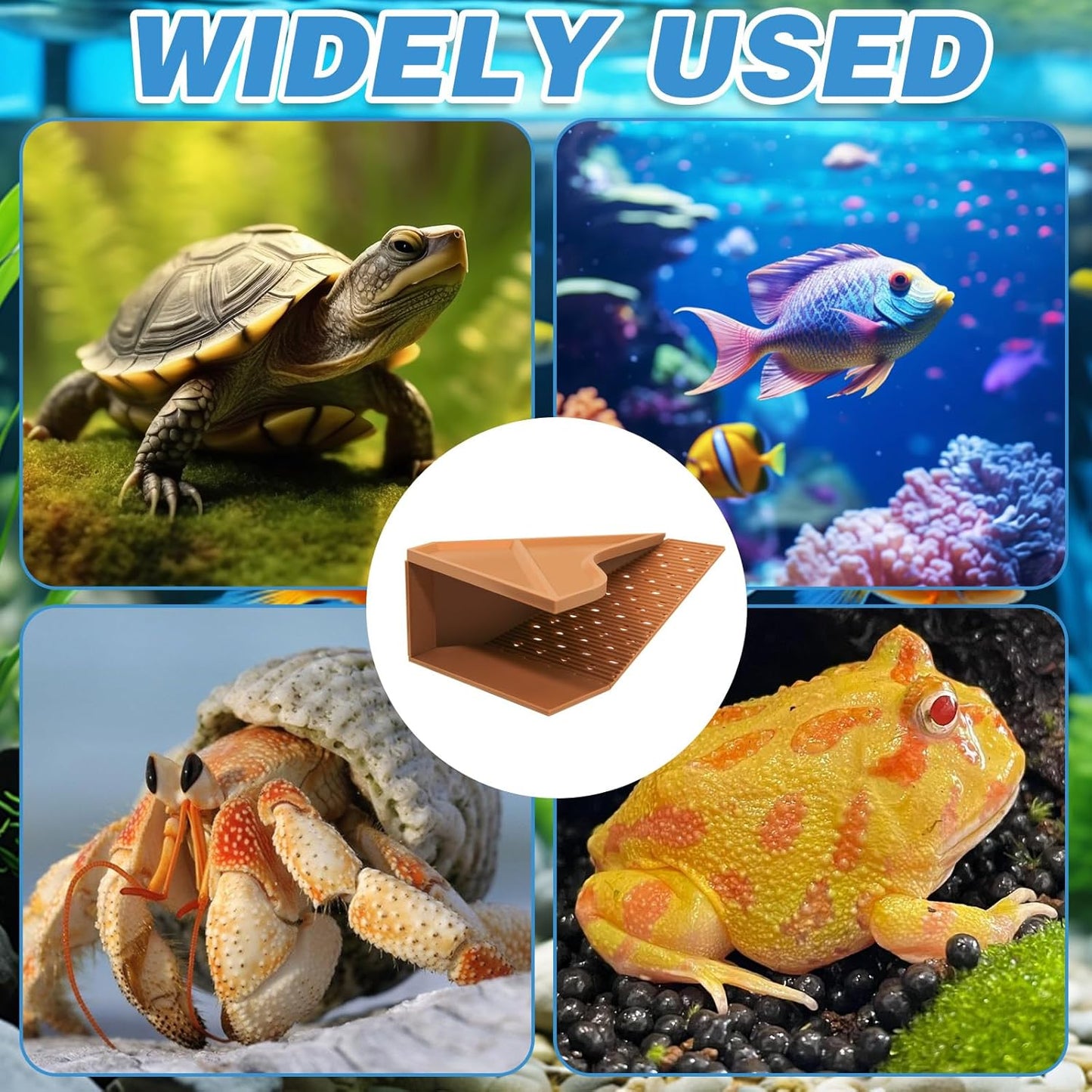 Detachable Hermit Crab Hiding Place, Hermit Crab Decor Accessories Climbing Toy, Habitat Decor for Pet, Aquarium Decorations for Crabs up to 2.4in Tall